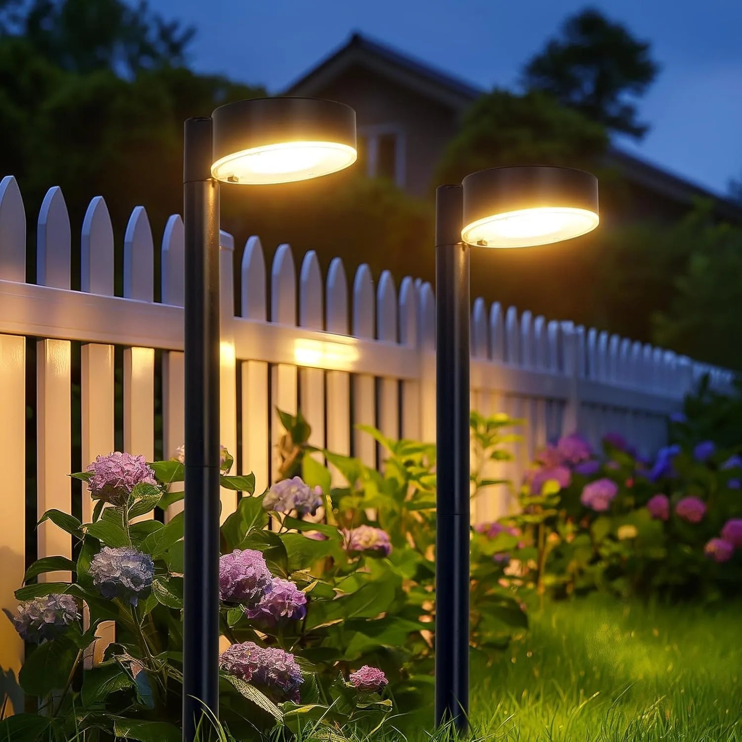 8 Pack Solar Pathway Lights Outdoor - LoongFly Online